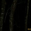2012-Mar-03HGR4X4Richloam 251